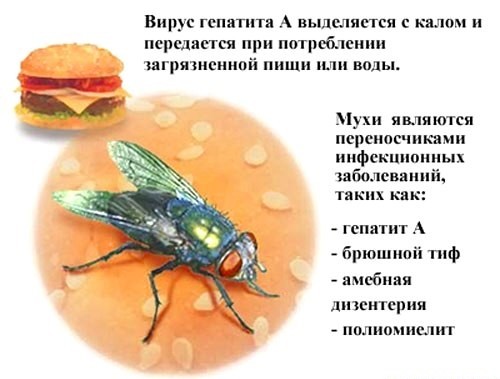 image005